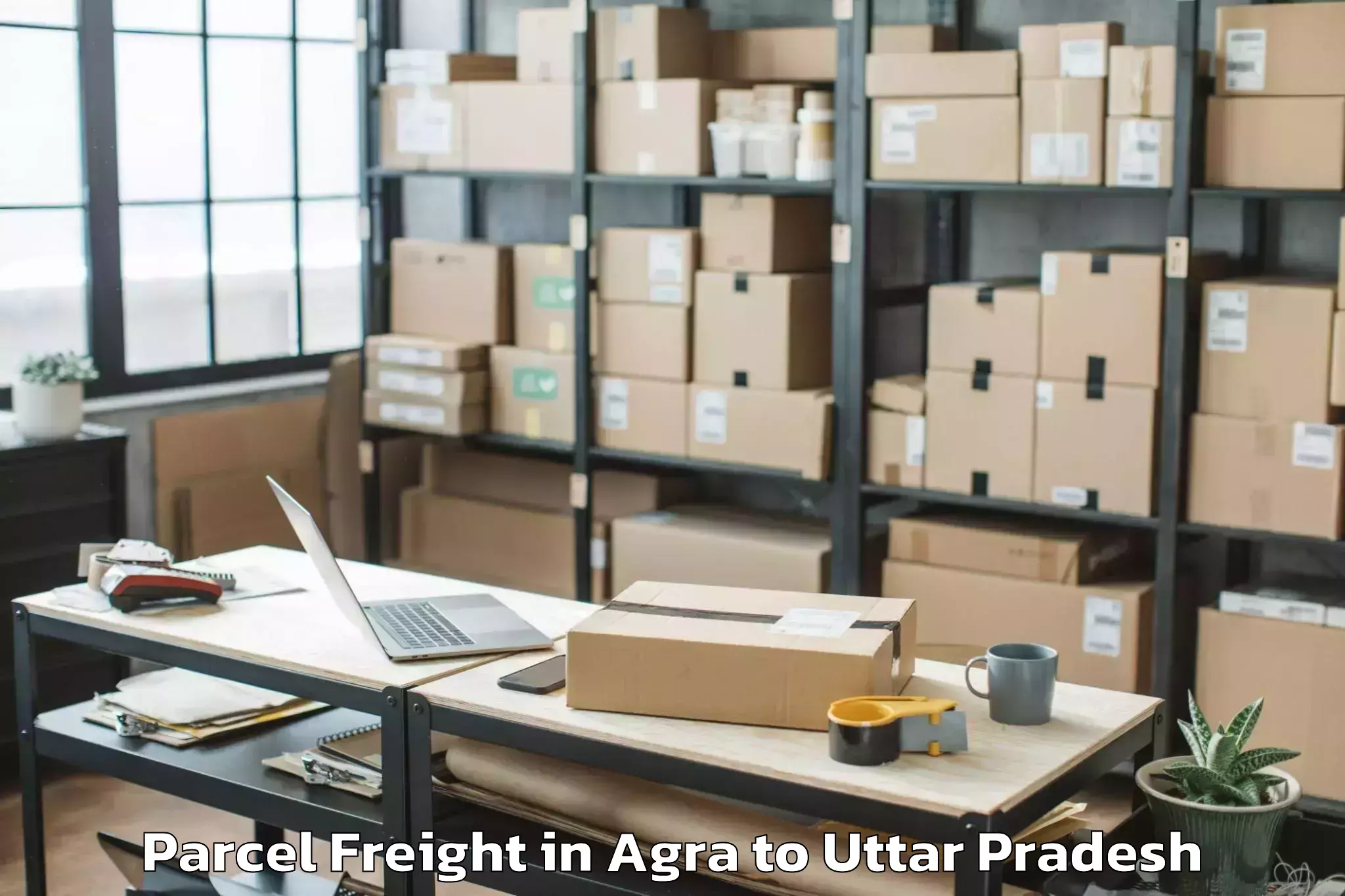 Reliable Agra to Belthara Road Parcel Freight